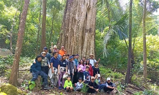 Du khách háo hức tham quan cây di sản