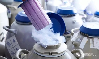 Đông lạnh trứng đang là giấc mơ của nhiều phụ nữ độc thân Trung Quốc