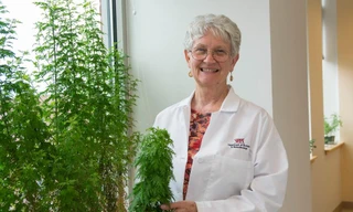 GIÁO SƯ PAMELA WEATHERS bên cây thanh hao hoa vàng