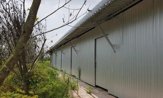 Dãy nhà 6 căn “mọc” trên đất lúa bị cơ quan chức năng xử phạt