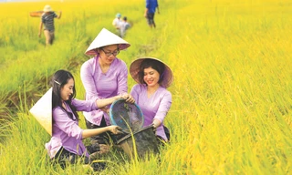 Nữ doanh nhân Phạm Thị Diễm Lệ và niềm vui được mùa 