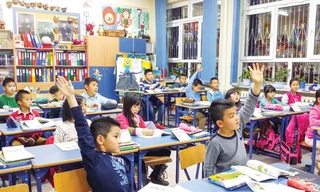 Tiếng Việt ơi, tiếng Việt nặng ân tình 