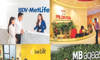 Từ con gà đẻ trứng vàng, kênh Bancass trở thành tội đồ. Trong ảnh, 4 doanh nghiệp bảo hiểm bị Bộ Tài chính chỉ ra sai phạm kênh Bancass