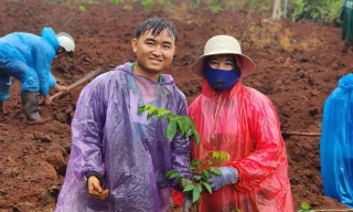 Trung úy Thành trồng cây với mọi người