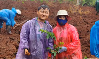 Trung úy Thành trồng cây với mọi người