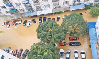Nhiều xe ô tô bị nước lũ nhấn chìm chờ được bảo hiểm bồi thường Ảnh:BHS