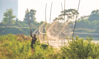 Giăng lưới mờ để bắt chim nước tại vùng đầm, ao hồ và bãi bồi ven sông tại xã Thuý Lĩnh, Hoàng Mai Ảnh: CCD 