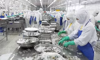 Dịch COVID-19 lây lan rộng tại các tỉnh ĐBSCL vào đúng thời điểm tăng tốc xuất khẩu khiến DN đang mất nhiều cơ hội kinh doanh