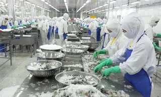 Dịch COVID-19 lây lan rộng tại các tỉnh ĐBSCL vào đúng thời điểm tăng tốc xuất khẩu khiến DN đang mất nhiều cơ hội kinh doanh