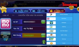 Quản lý ví điện tử lỏng lẻo, dẫn tới việc lợi dụng để trục lợi, chuyển tiền bất chính 