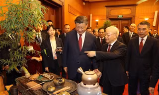 Tổng Bí thư Nguyễn Phú Trọng và Tổng Bí thư, Chủ tịch nước Trung Quốc Tập Cận Bình nghe giới thiệu về trà (12/2023) Ảnh: Trí Dũng