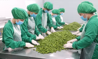 Cty CP Dh Foods do ông Nguyễn Trung Dũng (kiều bào Ba Lan) đầu tư tại TPHCM ảnh: U.P