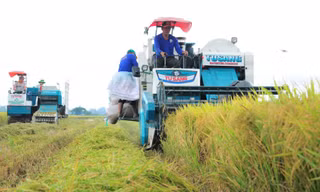 Doanh nghiệp khu vực ĐBSCL chờ đột phá từ Nghị quyết 68