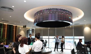 Nhiều thông tin tốt trong nước, quốc tế hỗ trợ cho chứng khoán phục hồi ảnh: Như Ý 