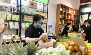 Ngày càng nhiều bạn trẻ tham gia lĩnh vực nông nghiệp hữu cơ