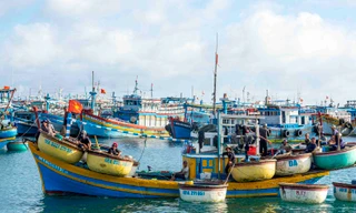 Tàu đánh cá của ngư dân đảo Phú Quý Ảnh: Văn Chương