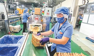 Thương hiệu “vang bóng một thời” mì Miliket thay đổi để thích nghi với thời cuộc ảnh: U.P 