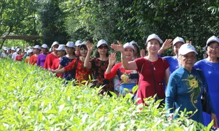 Dòng người về thăm quê Bác nhân dịp kỷ niệm 133 năm Ngày sinh Chủ tịch Hồ Chí Minh