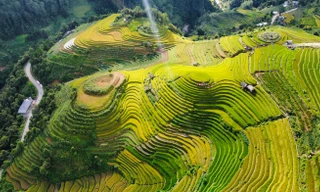 Chuyện chưa kể về biệt đội 'chim sắt'