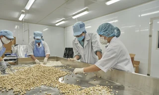 Doanh nghiệp khởi nghiệp có nhu cầu vốn nhưng không dễ được vay ảnh: U.P