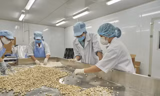 Doanh nghiệp khởi nghiệp có nhu cầu vốn nhưng không dễ được vay ảnh: U.P