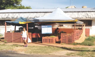 Nhớ Rau Việt ở Cuba