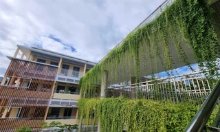 Hành lang nối hai khối nhà của Trường THCS Trần Hưng Đạo ngát xanh, tạo điểm nhấn cho trường Ảnh: Thanh Hiền