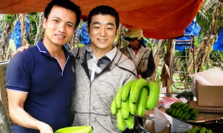 Đối tác Nhật Bản đến tận xã K’Nàng thẩm định chất lượng chuối Laba 