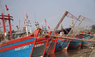 Xăng dầu giá cao, thiếu lao động khiến nhiều tàu, thuyền nằm bờ 