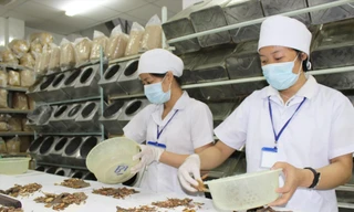 Tất cả các loại thuốc cần phải được bác sĩ kê toa, chỉ định điều trị