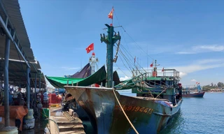 Nhiều tàu cá lại đứng trước nguy cơ nằm bờ vì giá dầu tăng cao Ảnh: Hoài Văn