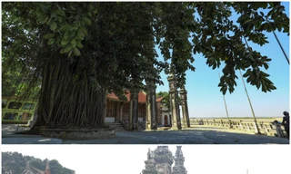 Cây đa trước cổng đình Chèm bị chặt hạ khi chưa có ý kiến của cơ quan chuyên môn, cơ quan quản lý Ảnh: KỲ SƠN 