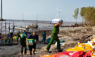 Công an, bộ đội vác bao cát 'vá' đê Biển Đông bị sạt lở