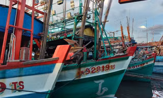 Cà Mau khởi tố 11 vụ án vi phạm chống khai thác IUU