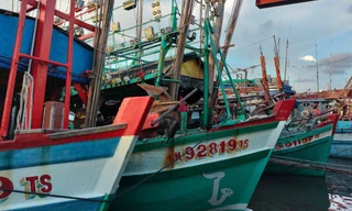 Cà Mau khởi tố 11 vụ án vi phạm chống khai thác IUU