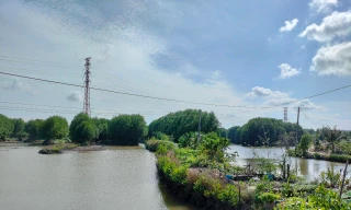 Nguyên Giám đốc, phó giám đốc Công ty lâm nghiệp Ngọc Hiển bị kiểm điểm