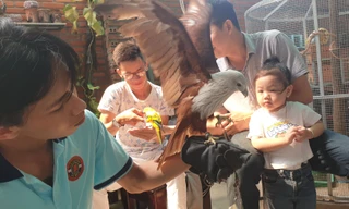 Chàng trai 'thu nhỏ rừng nhiệt đới' vào quán cà phê 