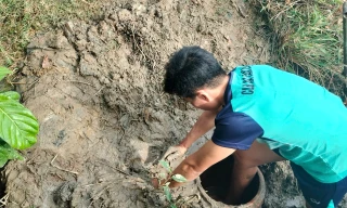 Độc lạ miền Tây: Làm hầm bắt cá ngày giáp Tết