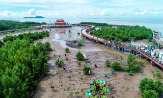 Vẻ đẹp Đất Mũi nhìn từ trên cao