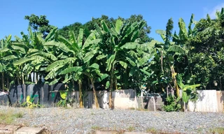 Bạc Liêu: Gần 2 năm chưa cưỡng chế hộ dân chiếm đất 3 nhà kế bên