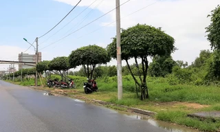 Khởi tố 2 nguyên phó chủ tịch huyện ở Bạc Liêu