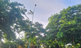 Dây điện đường Xuyên Á bị mất trộm, chủ đầu tư... không còn cấp để kiểm điểm