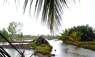 Một số mô hình giảm nghèo ở Cà Mau không mang lại hiệu quả