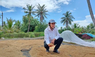 Cam kết giải phóng hàng nghìn tấn lúa Việt Nam ngon nhất thế giới bị ế