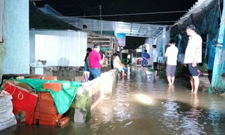 Nửa đêm ôm con ‘chạy’ triều cường ở Bạc Liêu