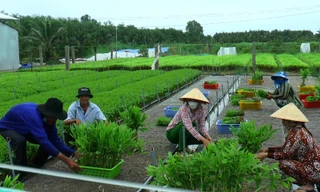 'Thạc sĩ rừng' đầu tiên dưới tán rừng U Minh