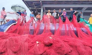 Ngư dân Cà Mau hối hả chuyến cuối năm, đón giao thừa trên biển