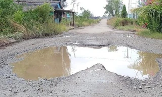 Một doanh nghiệp bị cấm đấu thầu 5 năm do có hành vi gian lận