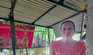 Sống mấy chục năm ven sông Cà Mau - Bạc Liêu giờ mới thấy sạt lở nghiêm trọng