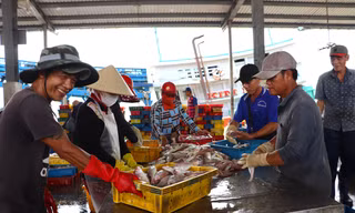 Bí thư Cà Mau nói về xử lý hình sự nạn khai thác thủy sản tận diệt